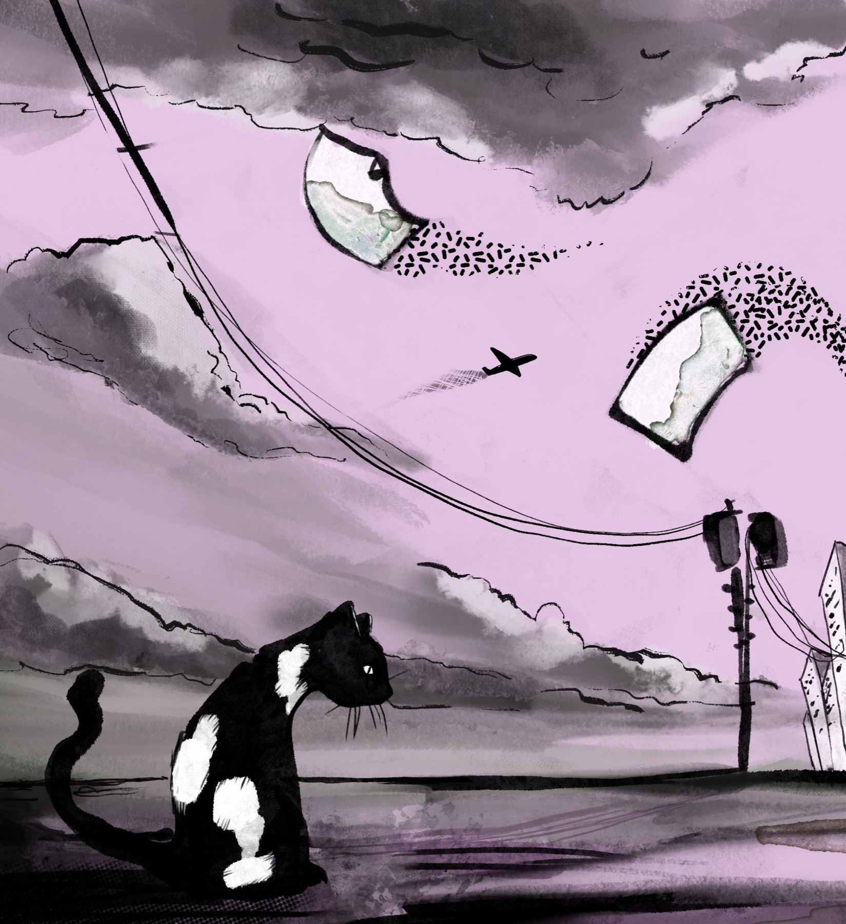 Black-and-white cat beneath floating shapes power lines and an airplane in a pink sky