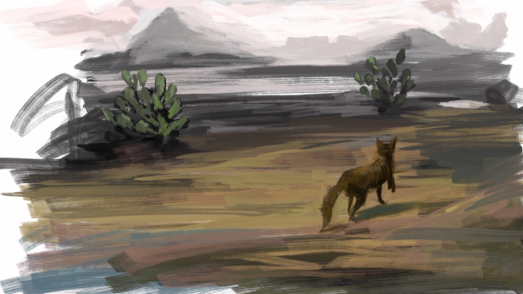 Lone coyote standing in a loosely painted desert landscape